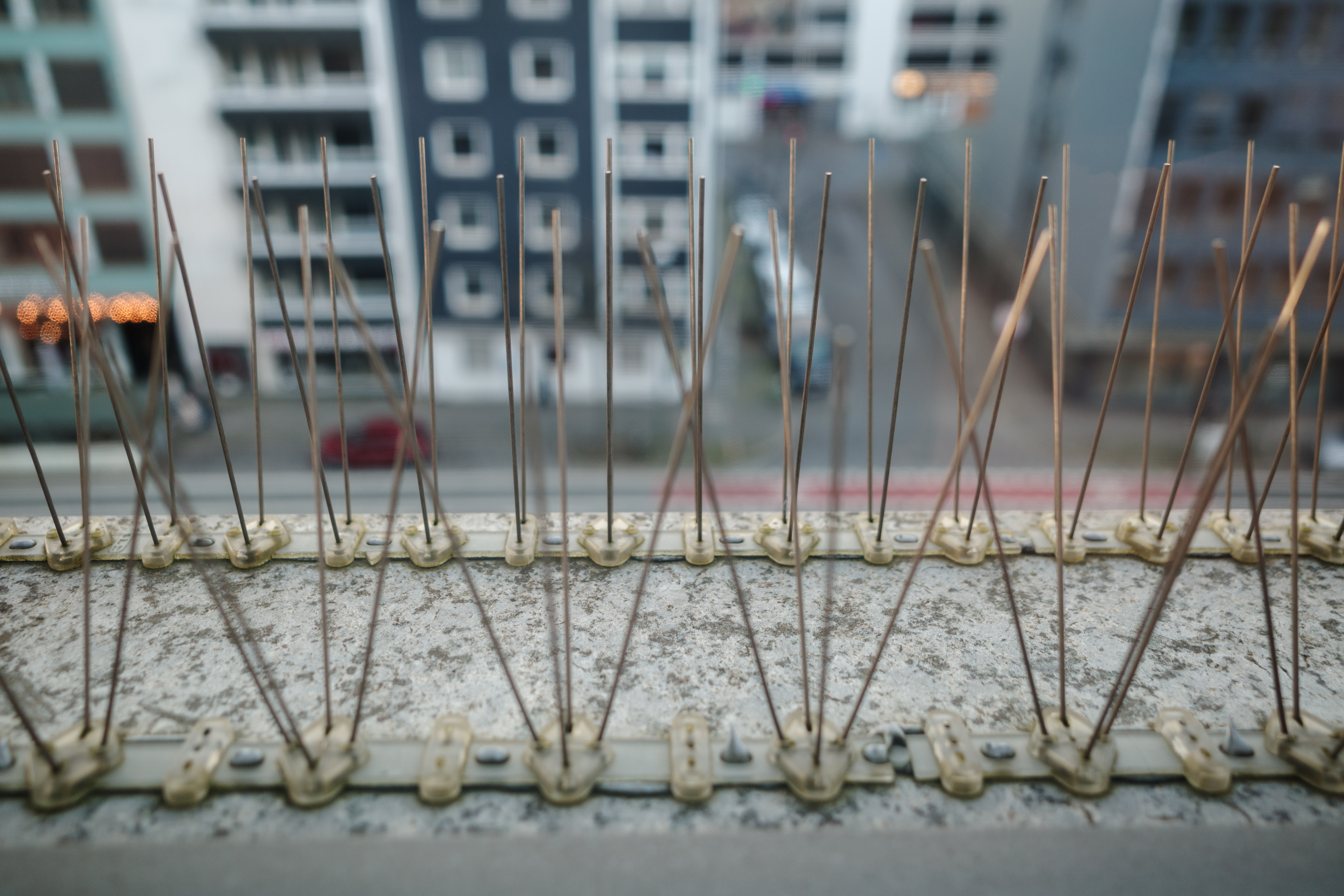 bird spikes vs other bird deterrents